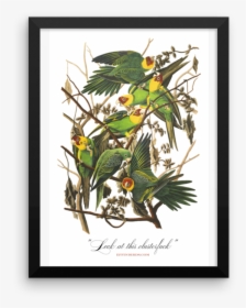 Look At This Clusterfuck Framed   Srcset Data - John James Audubon Paintings, HD Png Download, Transparent PNG